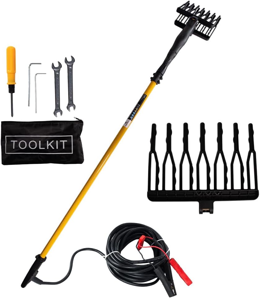 Abbacchiatore elettrico con asta e accessori