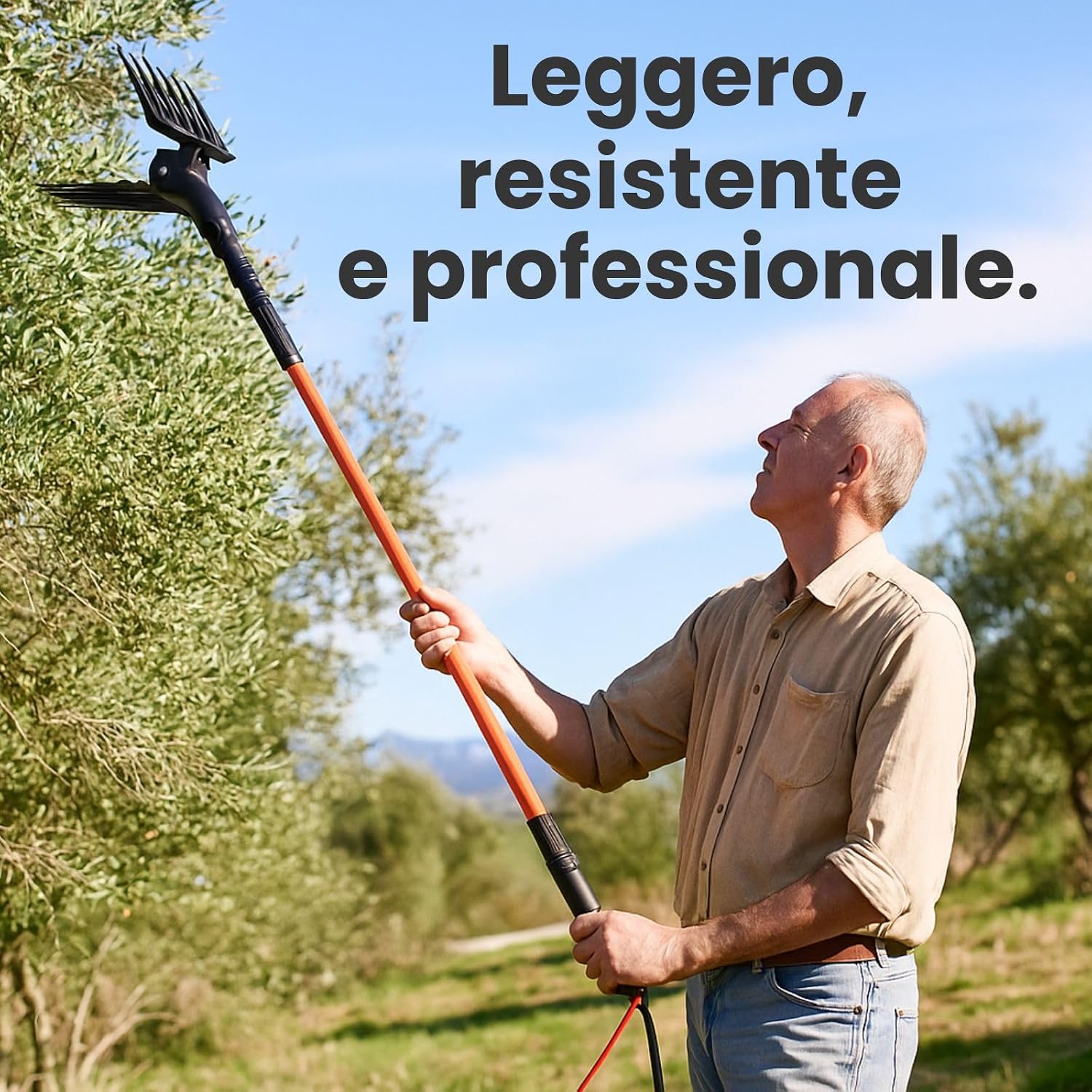 Abbacchiatore elettrico per olive